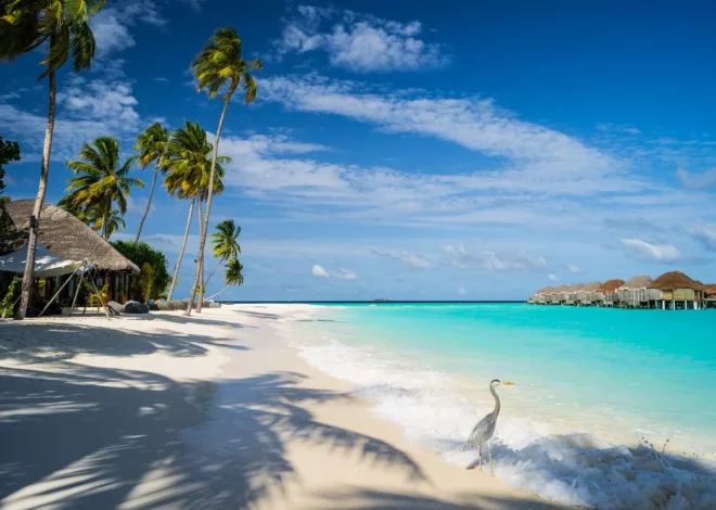 Maldives Magnifiques : Découvrez le Luxe et l’Aventure dans un Paradis Tropical